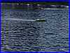 Pboro Power 020.JPG