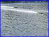 Pboro Power 022.JPG