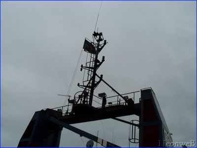 DCP_4411.JPG