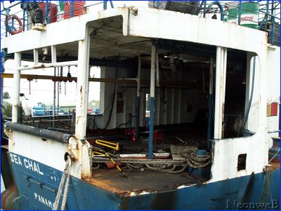 DCP_4442.JPG