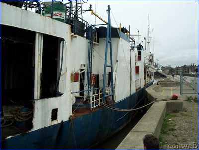 DCP_4443.JPG