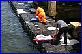 Weymouth-2006_056.JPG