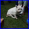 Merstham060.jpg