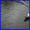 IMG_0624.JPG