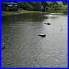 IMG_0680.JPG