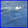WhingsWheelsWater_2007_337.JPG