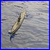 WhingsWheelsWater_2007_395.JPG