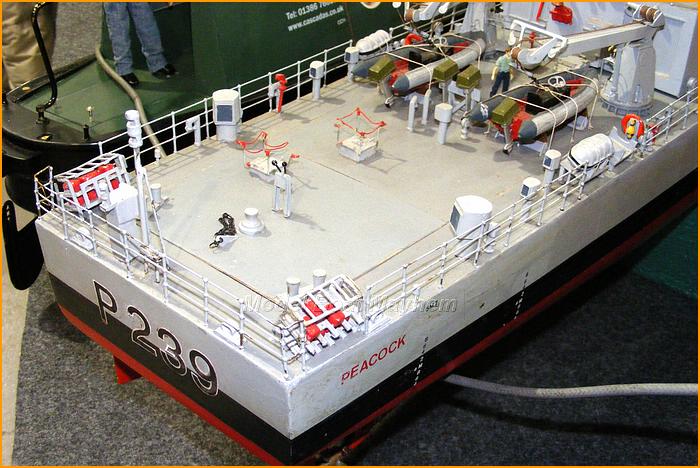 Warwick2008-Warships-265.JPG