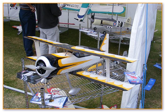 W&W2008_319.JPG