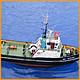 W&W2008_245.JPG