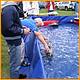 W&W2008_256.JPG